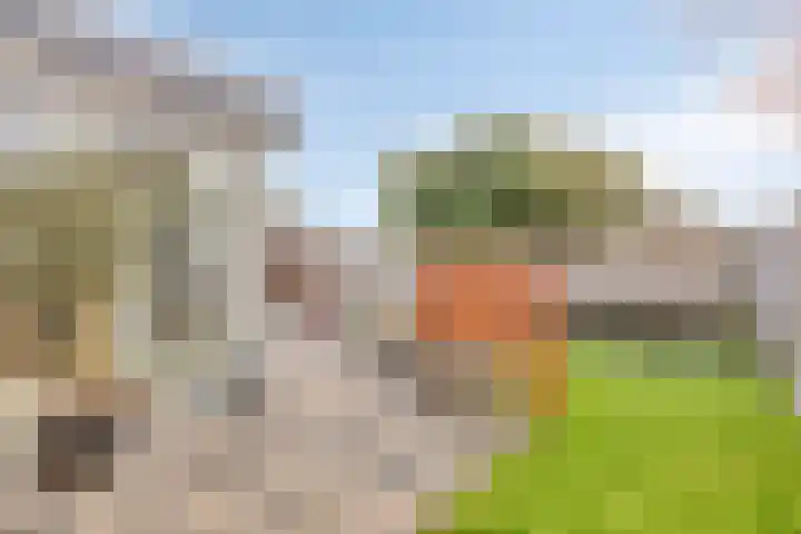 Keizerstraat 81 Putte thumbnail 38
