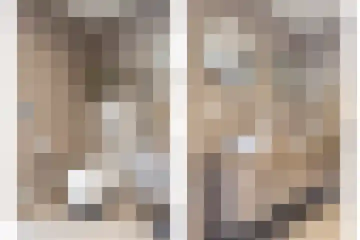 Keizerstraat 81 Putte thumbnail 4