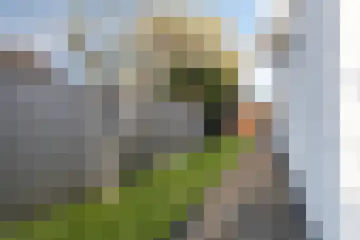 Keizerstraat 81 Putte thumbnail 41