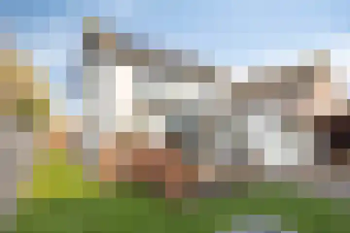 Keizerstraat 81 Putte thumbnail 42
