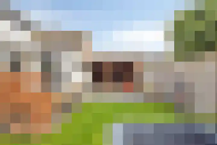 Keizerstraat 81 Putte thumbnail 5