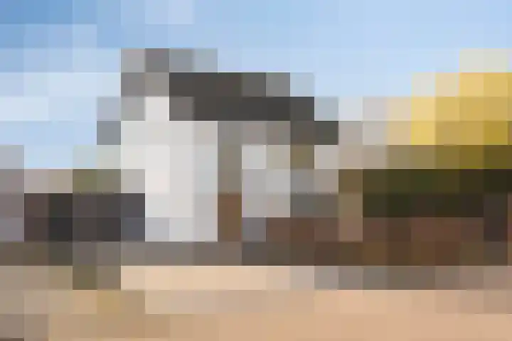 Keizerstraat 81 Putte thumbnail 6