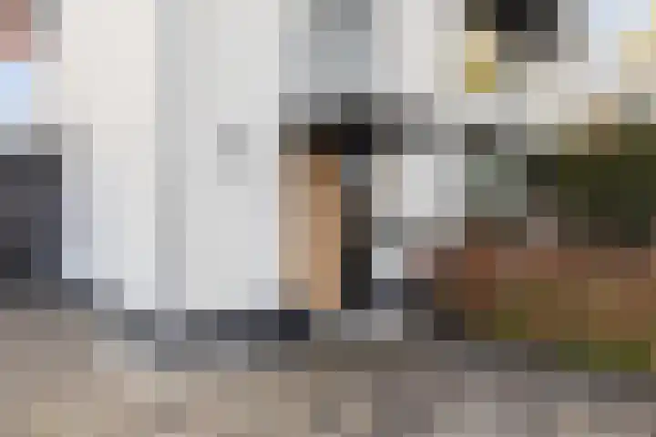 Keizerstraat 81 Putte thumbnail 9