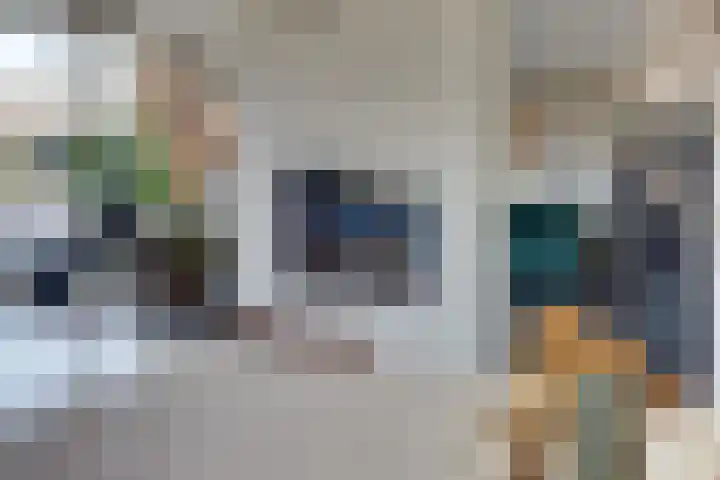 Keizerstraat 9 Harderwijk thumbnail 14