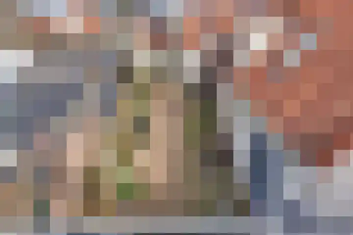 Keizerstraat 9 Harderwijk thumbnail 19