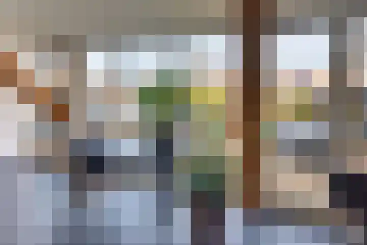 Keizerstraat 9 Harderwijk thumbnail 20