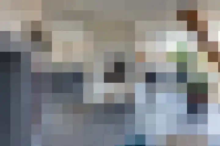 Keizerstraat 9 Harderwijk thumbnail 23