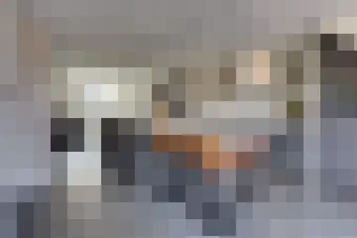 Keizerstraat 9 Harderwijk thumbnail 24