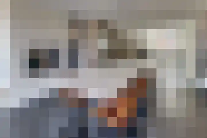 Keizerstraat 9 Harderwijk thumbnail 27