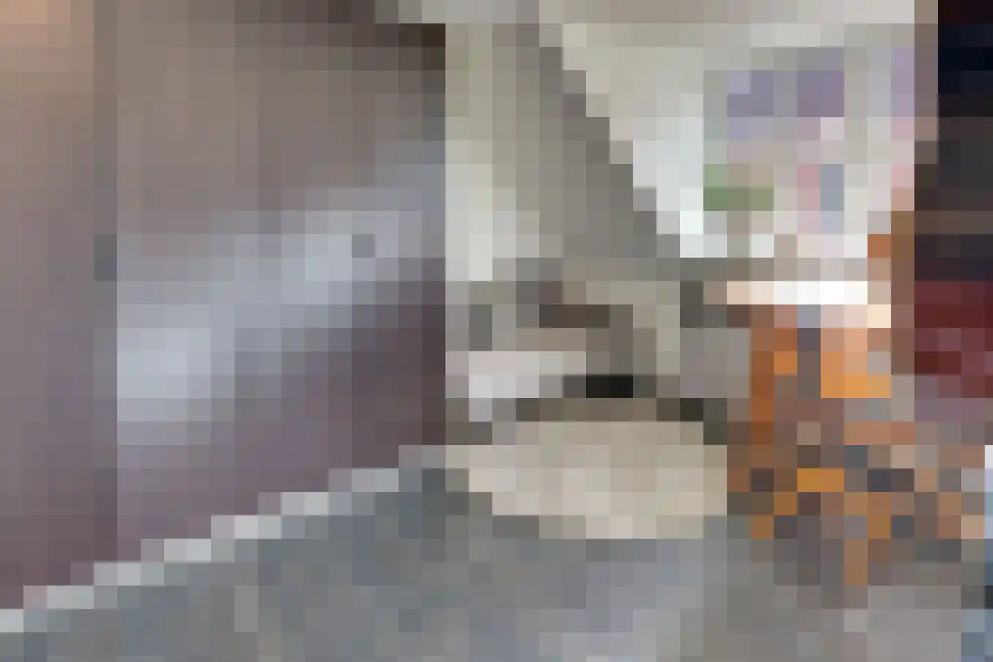 Keizerstraat 9 Harderwijk thumbnail 32