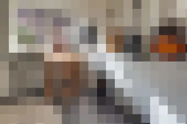 Keizerstraat 9 Harderwijk thumbnail 32