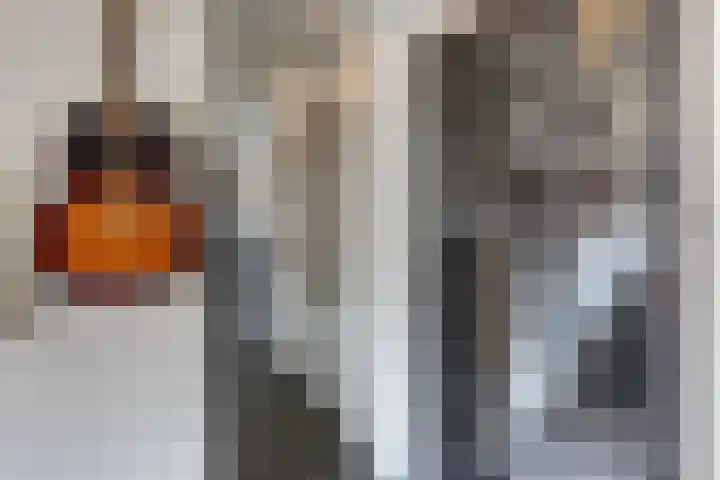 Keizerstraat 9 Harderwijk thumbnail 33