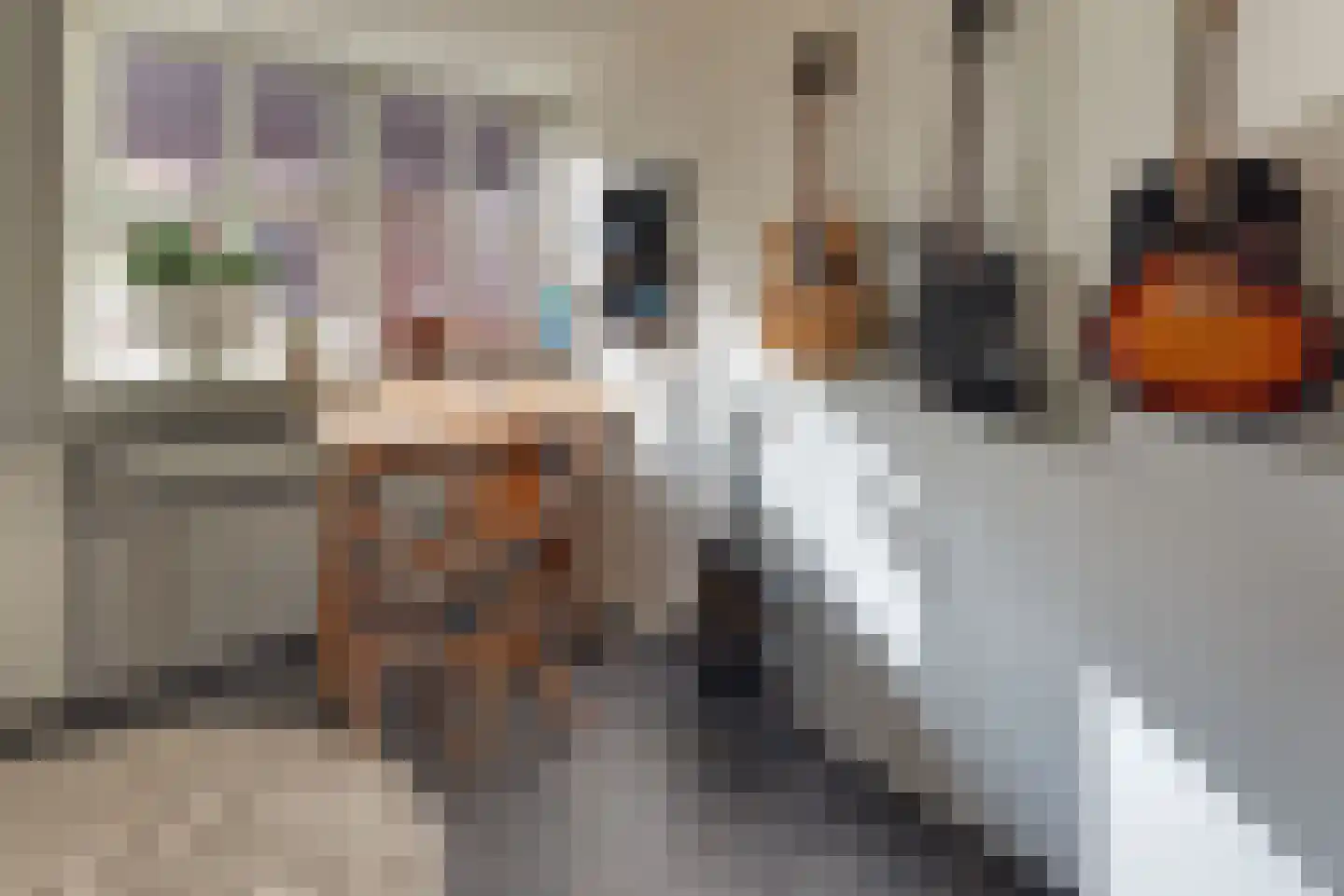 Keizerstraat 9 Harderwijk thumbnail 33
