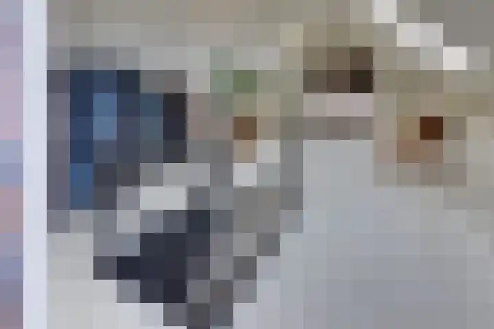Keizerstraat 9 Harderwijk thumbnail 37