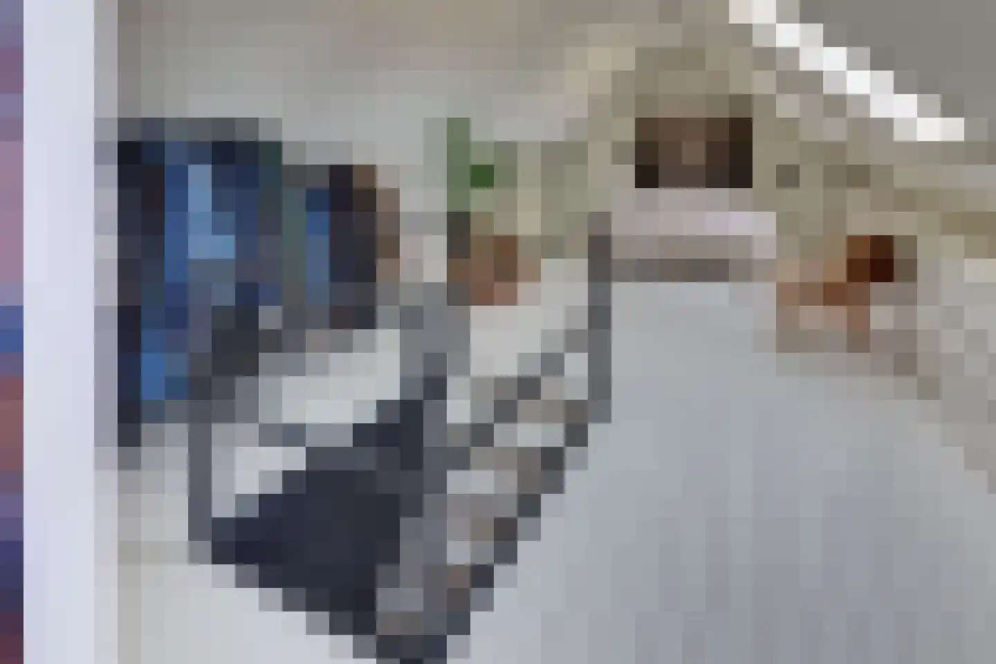 Keizerstraat 9 Harderwijk thumbnail 38