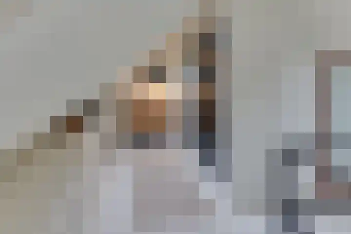 Keizerstraat 9 Harderwijk thumbnail 38