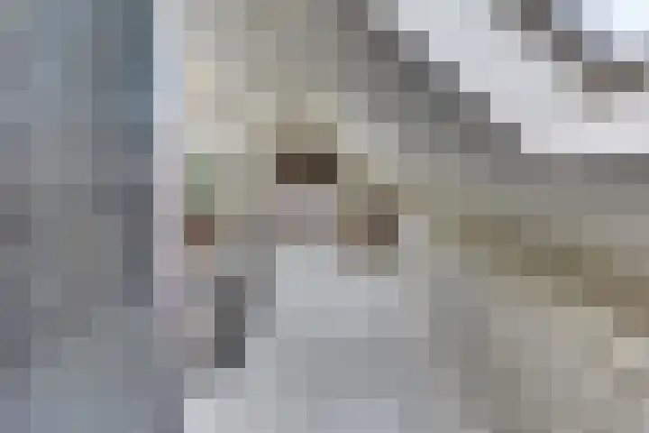 Keizerstraat 9 Harderwijk thumbnail 40