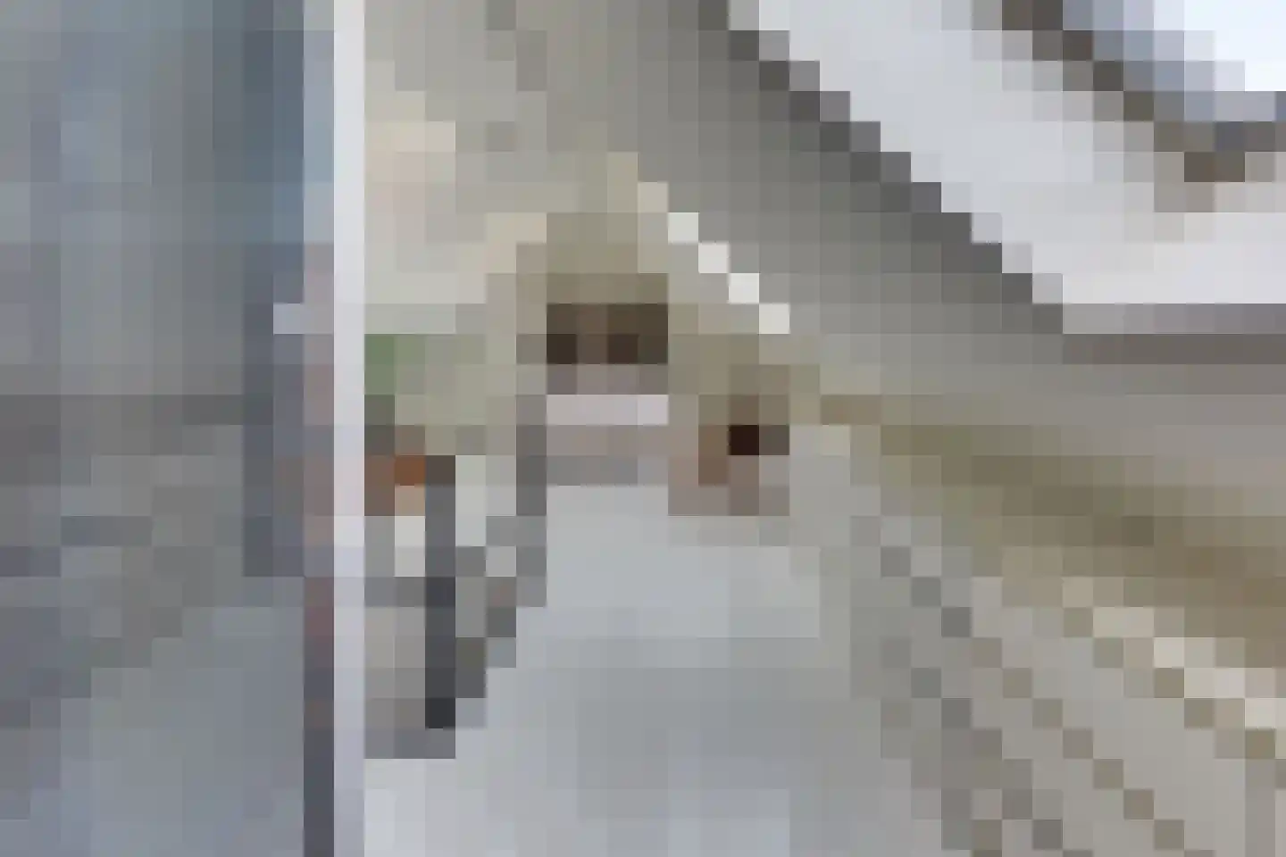 Keizerstraat 9 Harderwijk thumbnail 41