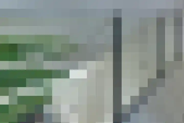 Keizerstraat 9 Harderwijk thumbnail 42