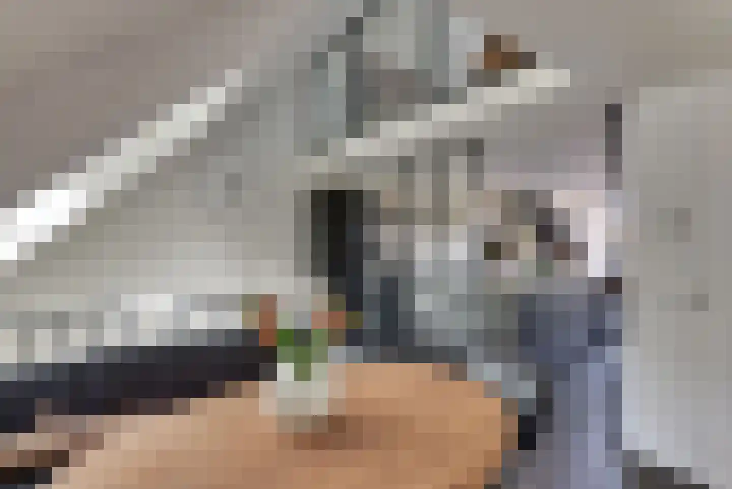 Keizerstraat 9 Harderwijk thumbnail 44