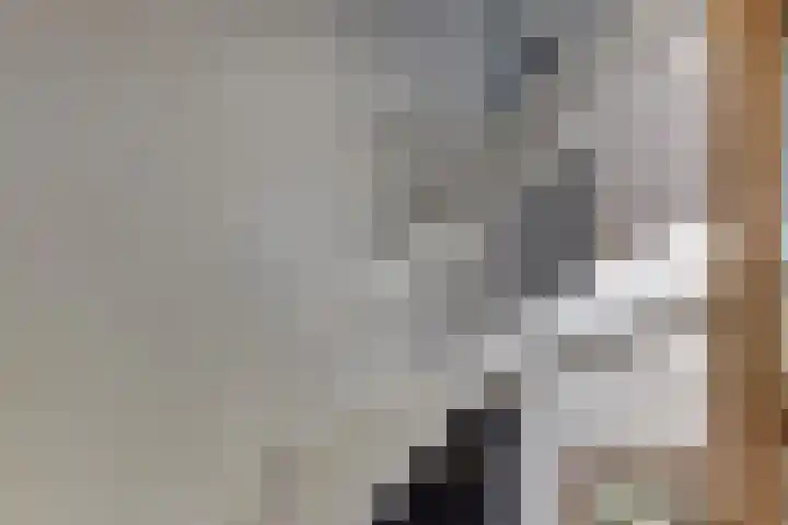 Keizerstraat 9 Harderwijk thumbnail 44