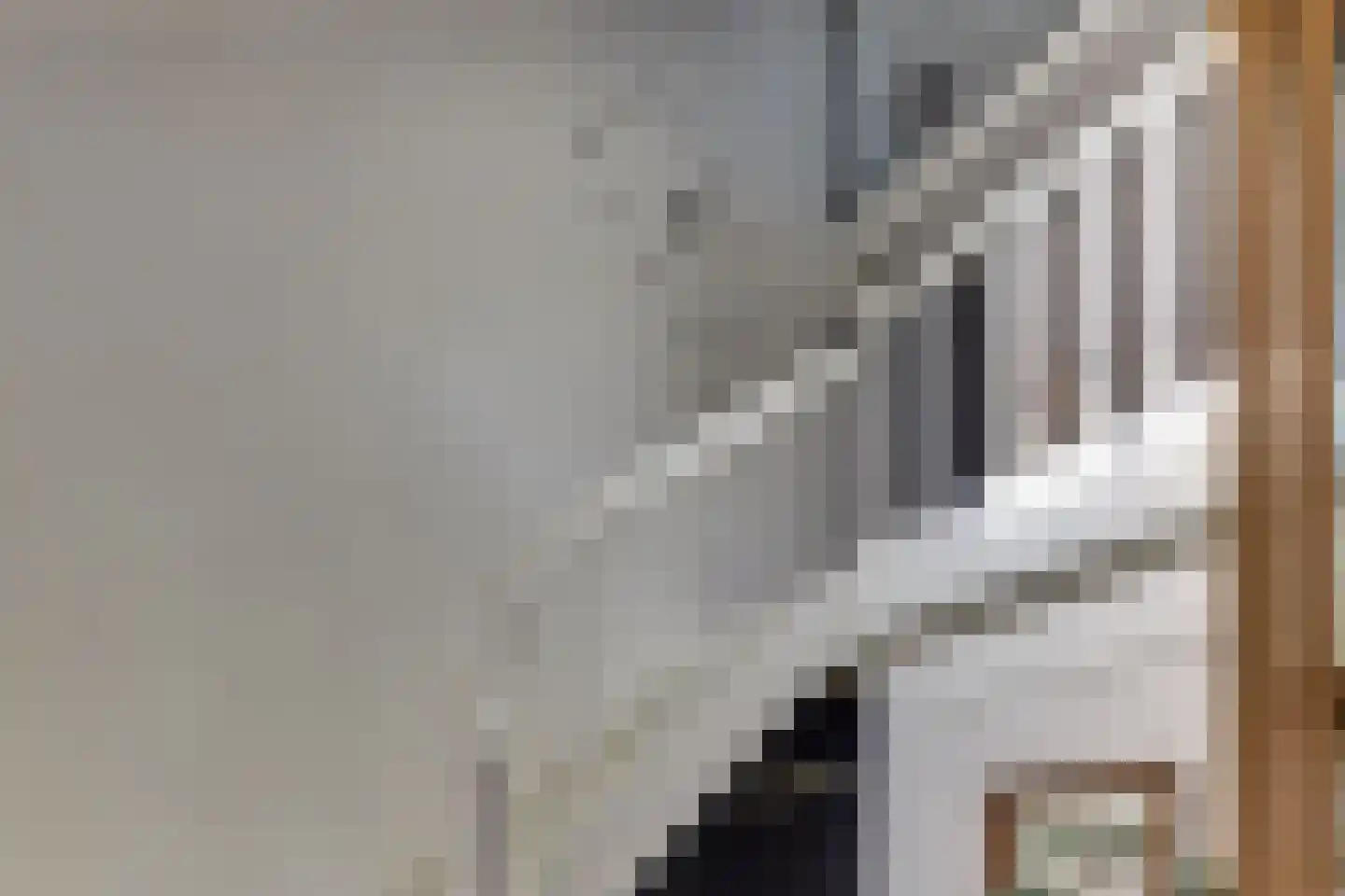 Keizerstraat 9 Harderwijk thumbnail 45