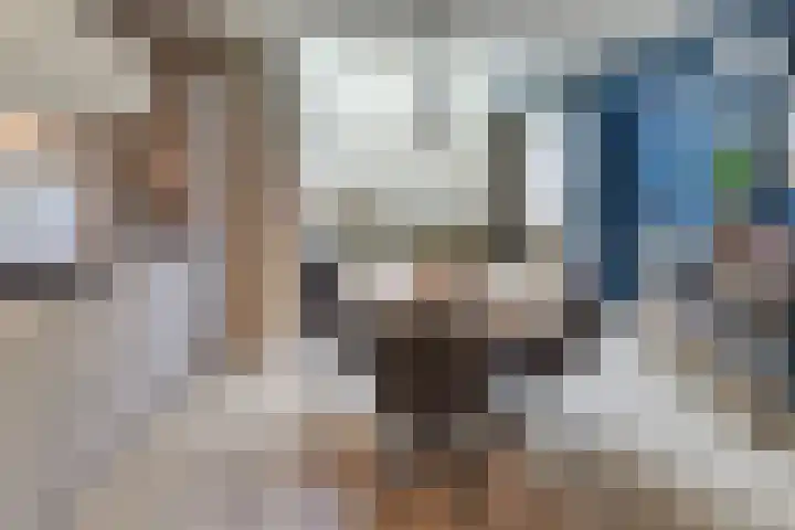 Keizerstraat 9 Harderwijk thumbnail 49