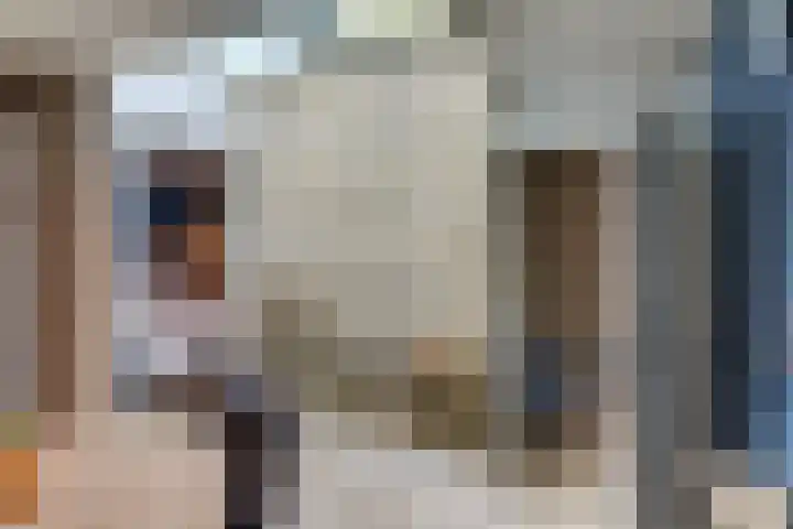 Keizerstraat 9 Harderwijk thumbnail 51