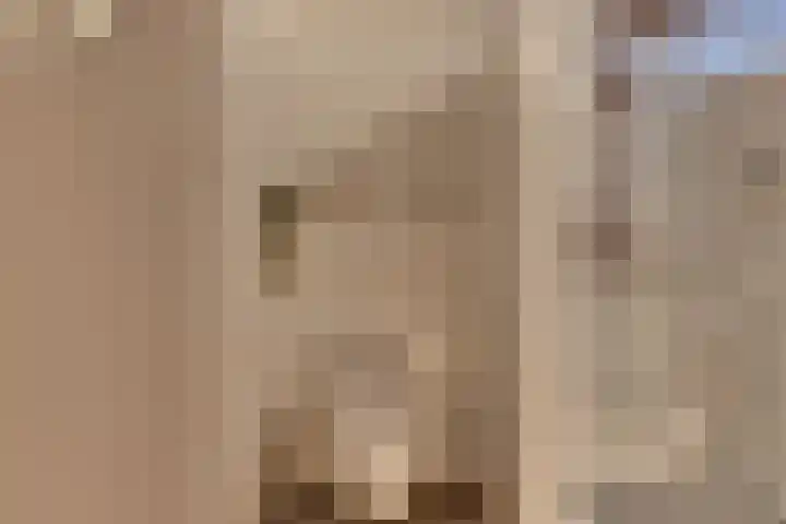 Keizerstraat 9 Harderwijk thumbnail 61