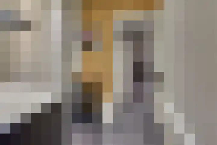 Keizerstraat 9 Harderwijk thumbnail 69