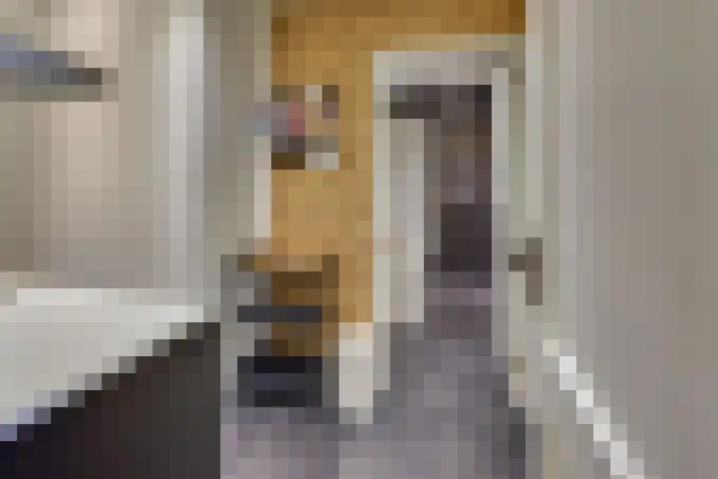 Keizerstraat 9 Harderwijk thumbnail 70