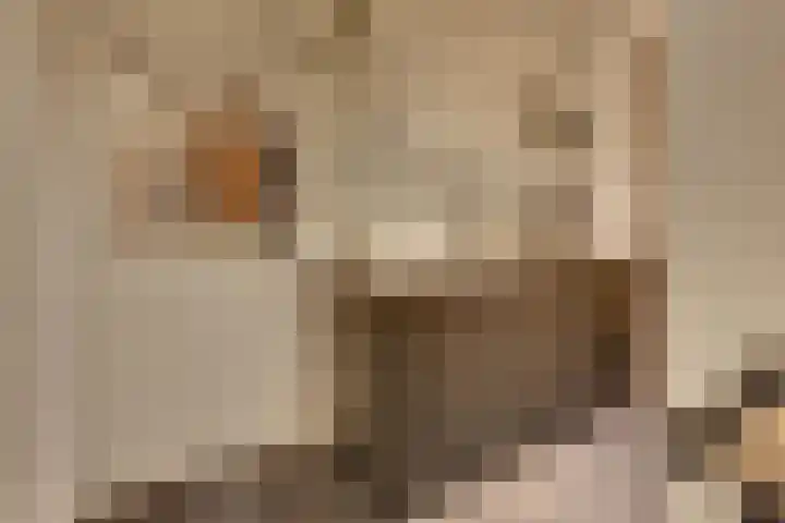 Keizerstraat 9 Harderwijk thumbnail 70