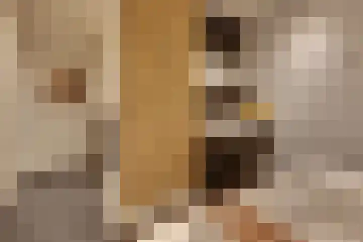 Keizerstraat 9 Harderwijk thumbnail 71