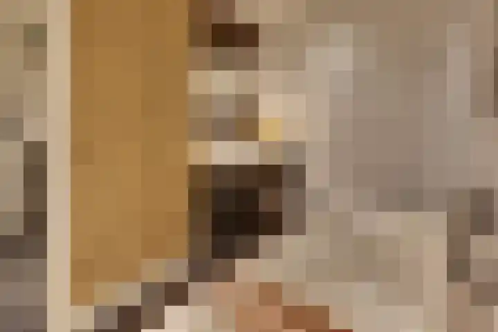 Keizerstraat 9 Harderwijk thumbnail 73