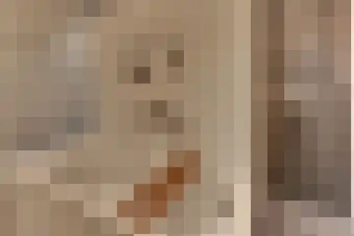 Keizerstraat 9 Harderwijk thumbnail 74