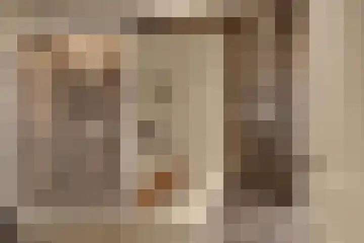 Keizerstraat 9 Harderwijk thumbnail 75