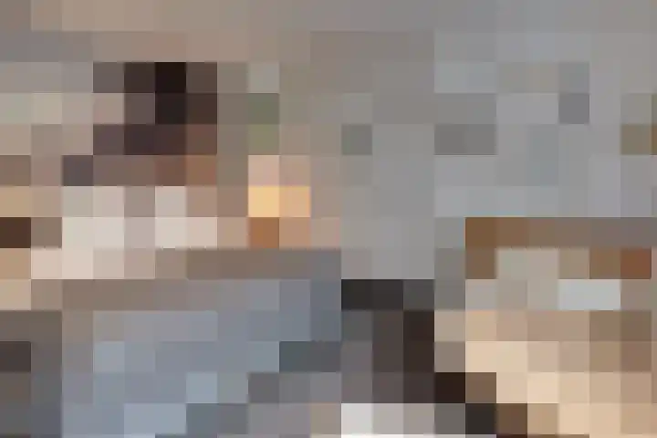 Keizerstraat 9 Harderwijk thumbnail 78