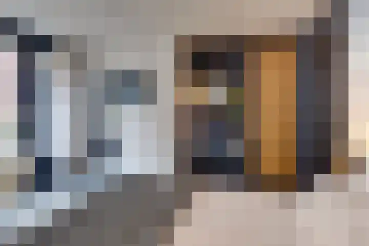 Keizerstraat 9 Harderwijk thumbnail 79