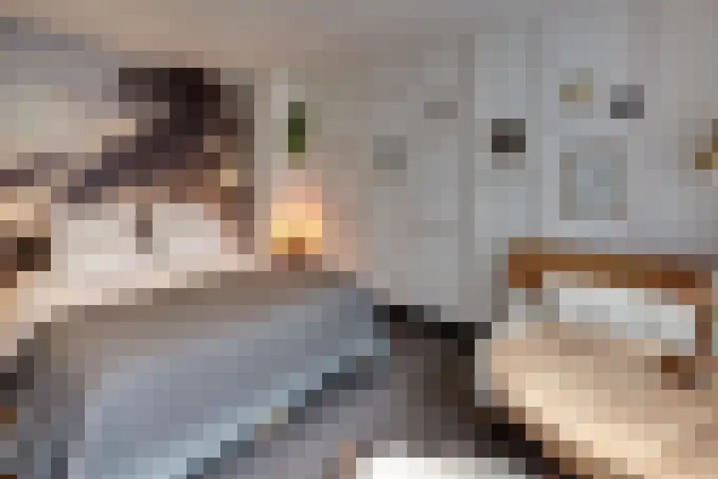 Keizerstraat 9 Harderwijk thumbnail 79