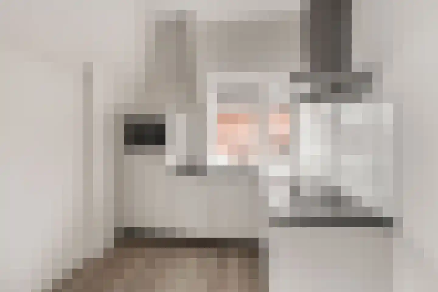 Keizerstraat 9 Vianen thumbnail 10