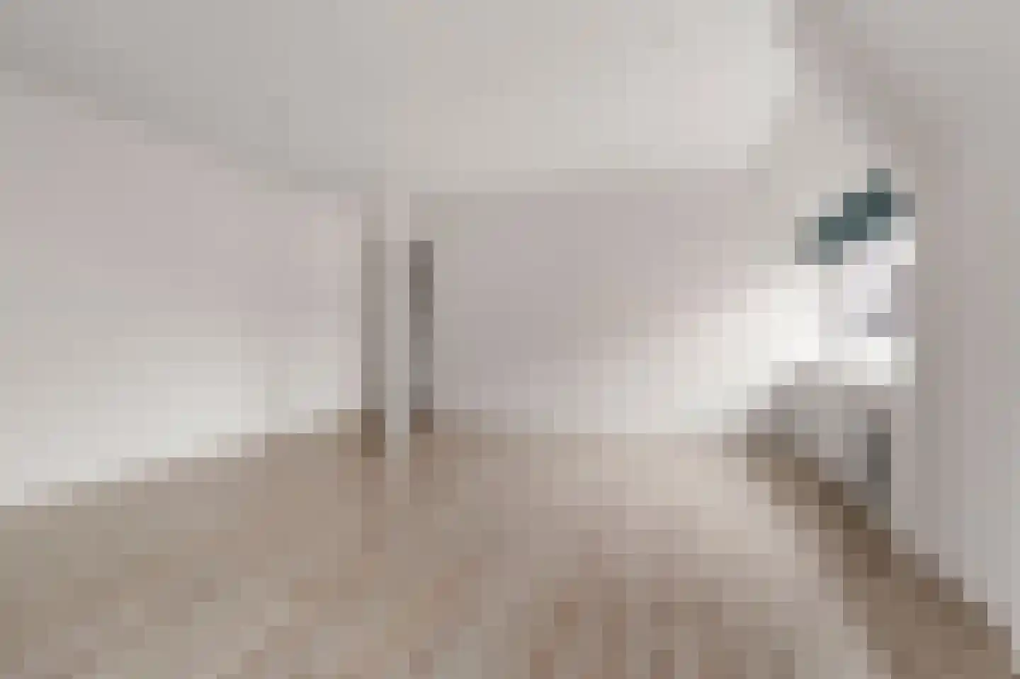 Keizerstraat 9 Vianen thumbnail 13