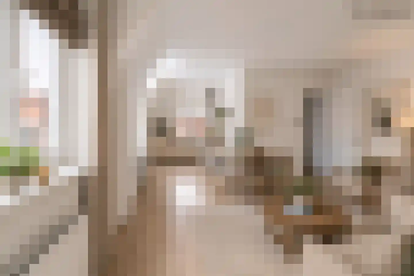 Keizerstraat 9 Vianen thumbnail 7
