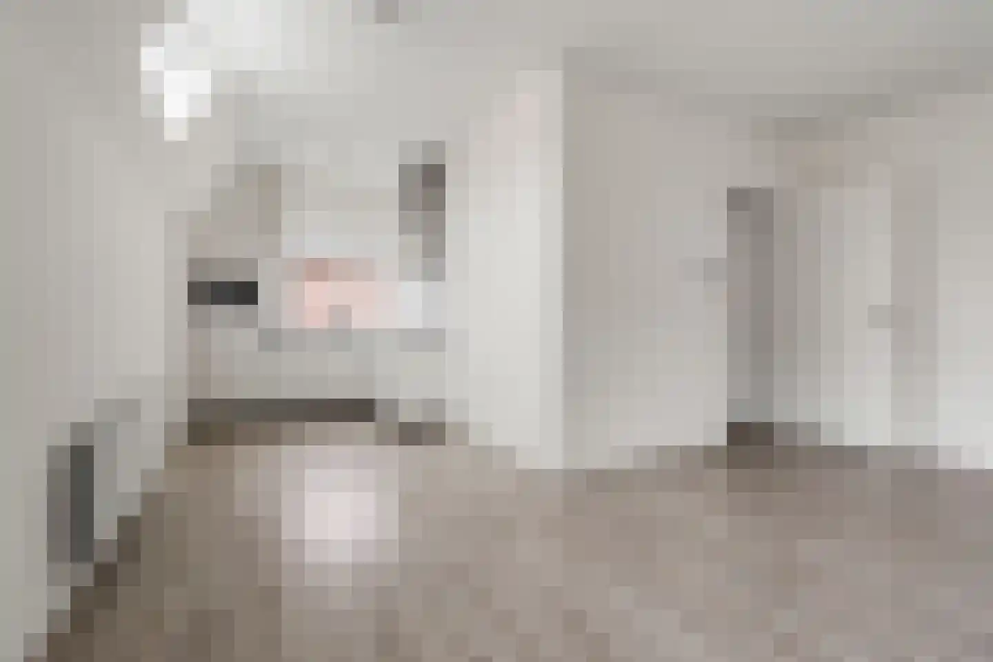 Keizerstraat 9 Vianen thumbnail 9