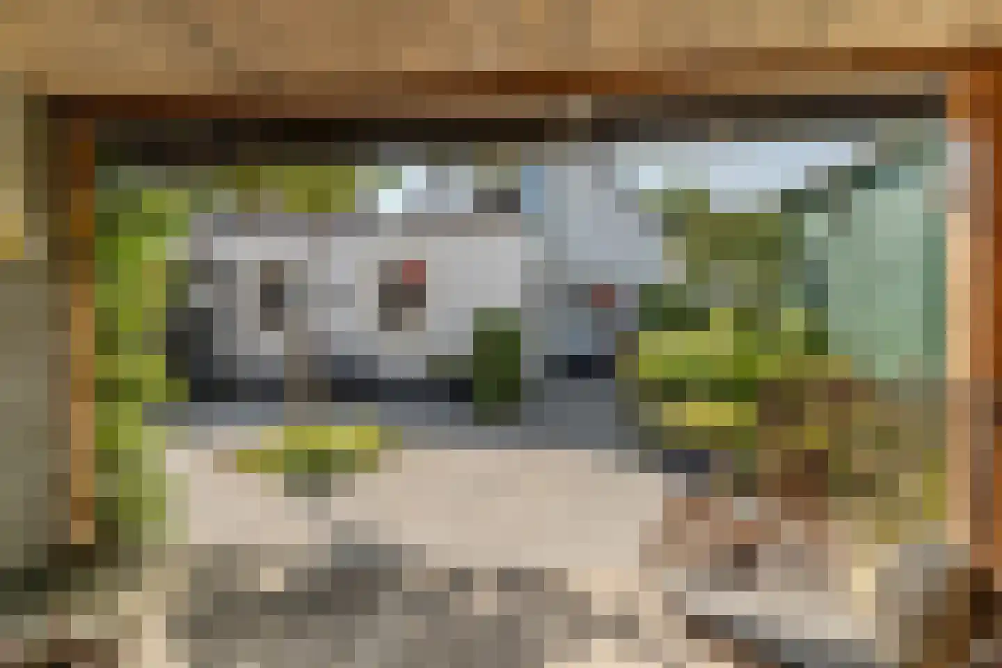 Keizerstraat 96 IJzendoorn thumbnail 42
