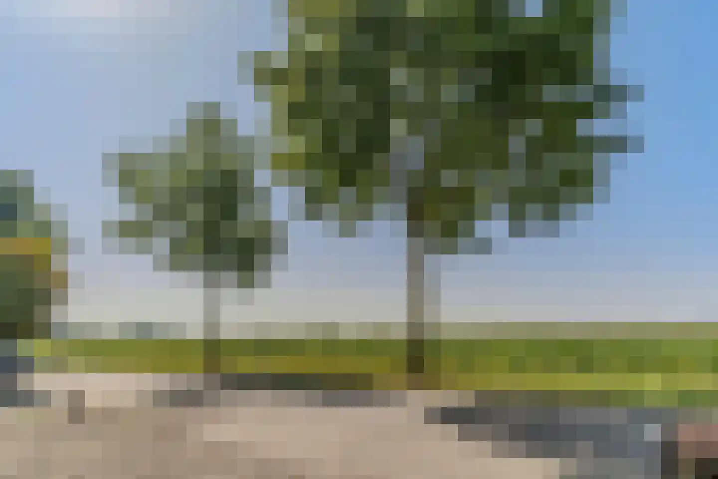 Keizerstraat 96 IJzendoorn thumbnail 54