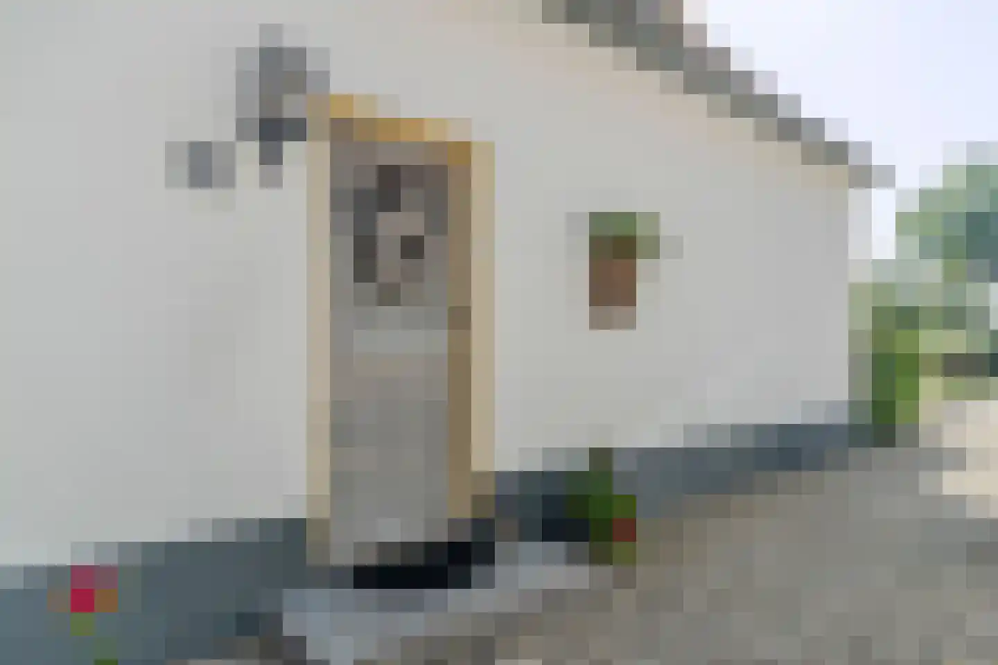 Keizerstraat 96 IJzendoorn thumbnail 6