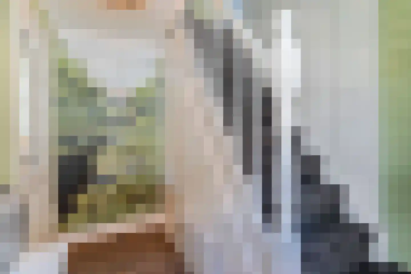 Keizerstraat 96 IJzendoorn thumbnail 8