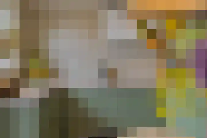 Keizersveerlaan 44 Tilburg thumbnail 17