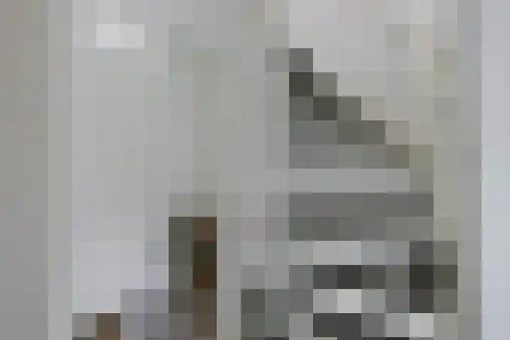 Keizersveerlaan 44 Tilburg thumbnail 20