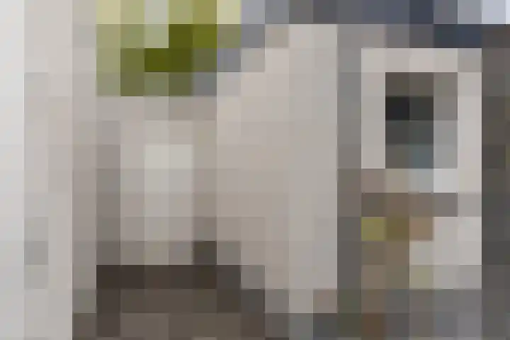 Keizersveerlaan 44 Tilburg thumbnail 35